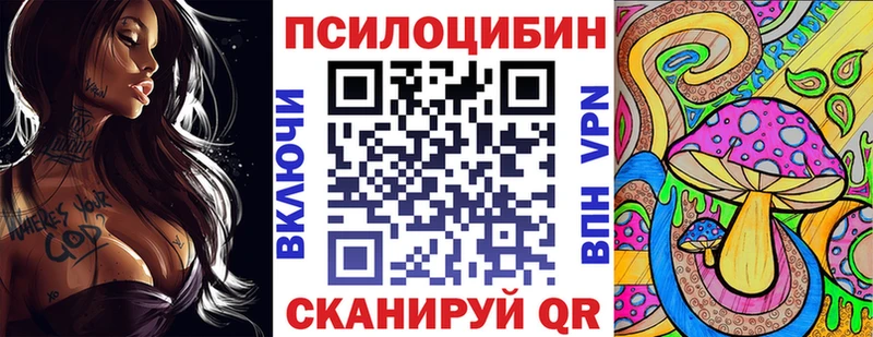 купить наркоту  Шагонар  Галлюциногенные грибы GOLDEN TEACHER 